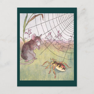 Maus, Spinne und Netz auf der Wiese Postkarte