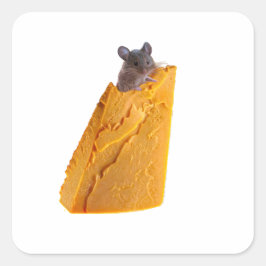 MAUS UND KÄSE AUF KLEINEN QUADRATISCHER AUFKLEBER