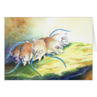 Mäuse, Maus