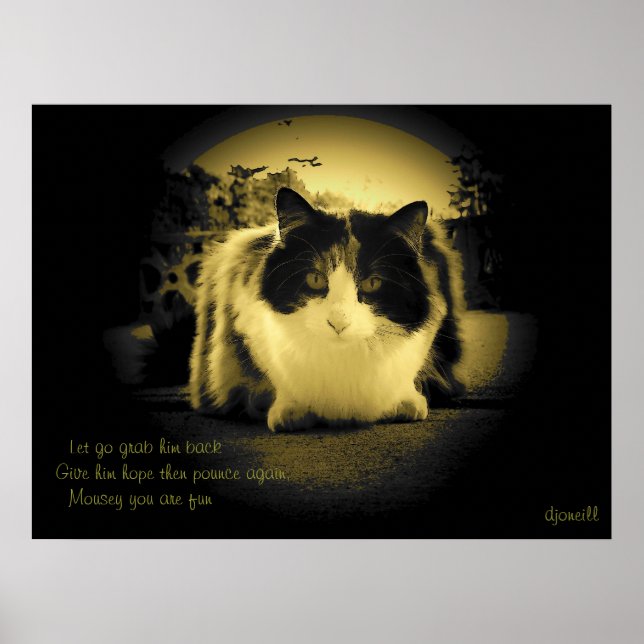 Mäuse sind Spaß Peep Hole Kitty Haiku Poster (Vorne)