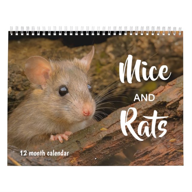 Mäuse und Ratten 2026 Kalender (Titelbild)