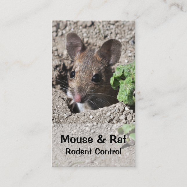 Mäuse- und Rattenplage-Kontrollen-Geschäftskarte Visitenkarte (Vorderseite)