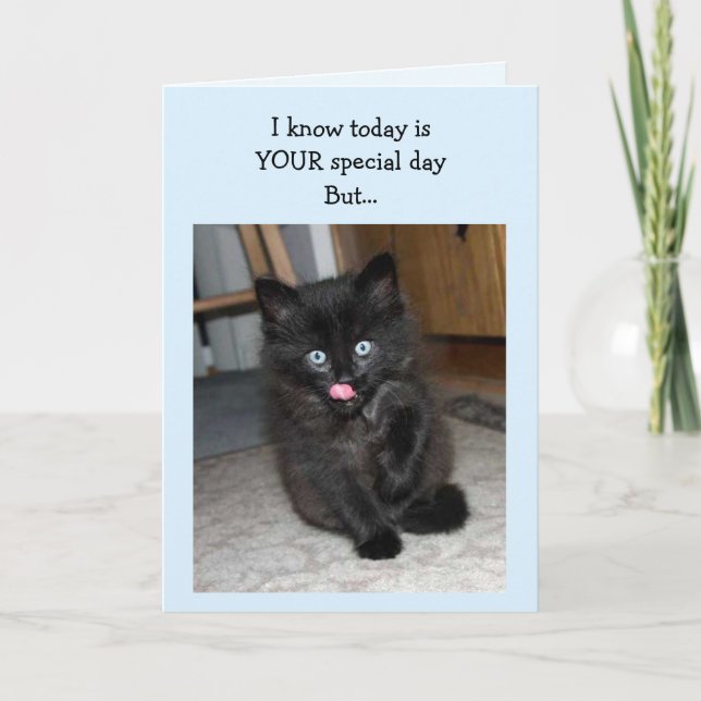 Mauser Kitten Happy Birthday Card Karte (Vorderseite)