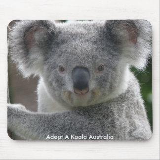 Mauspad Adoptiere ein Koala Australien