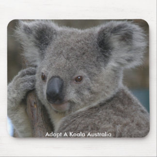 Mauspad Adoptiere einen Koala Australien