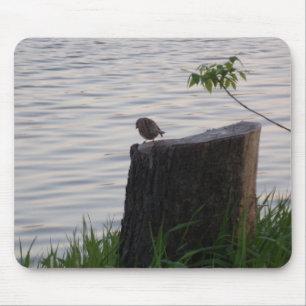 Mauspad mit Vogel auf einem Baumstumpf