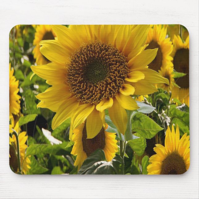 Mauspad Sonnenblume (Vorne)