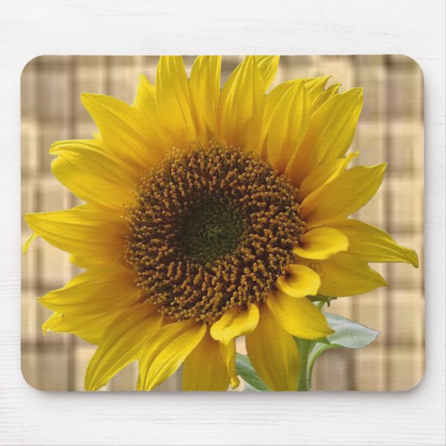 Mauspad Sonnenblume (Vorne)