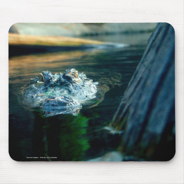 Mausunterlage-amerikanischer Alligator - Foto Mousepad (Vorne)