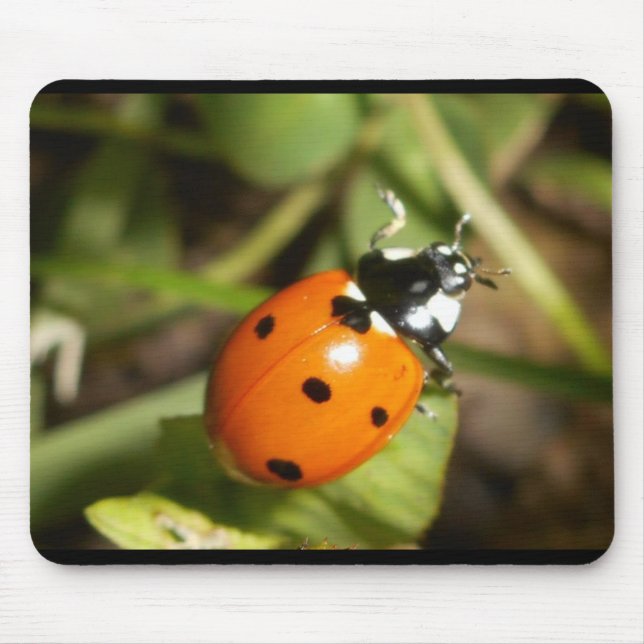 Mausunterlage Damen-Bug Mousepad (Vorne)