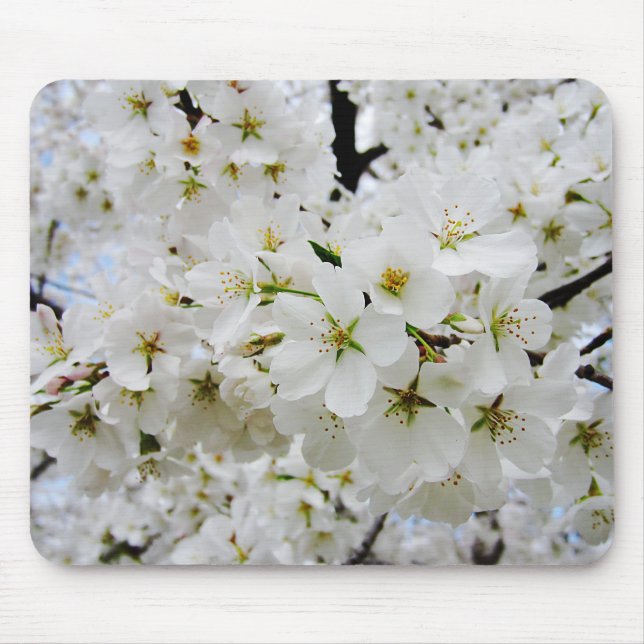 Mausunterlage der Kirschblüten-3 Mousepad (Vorne)
