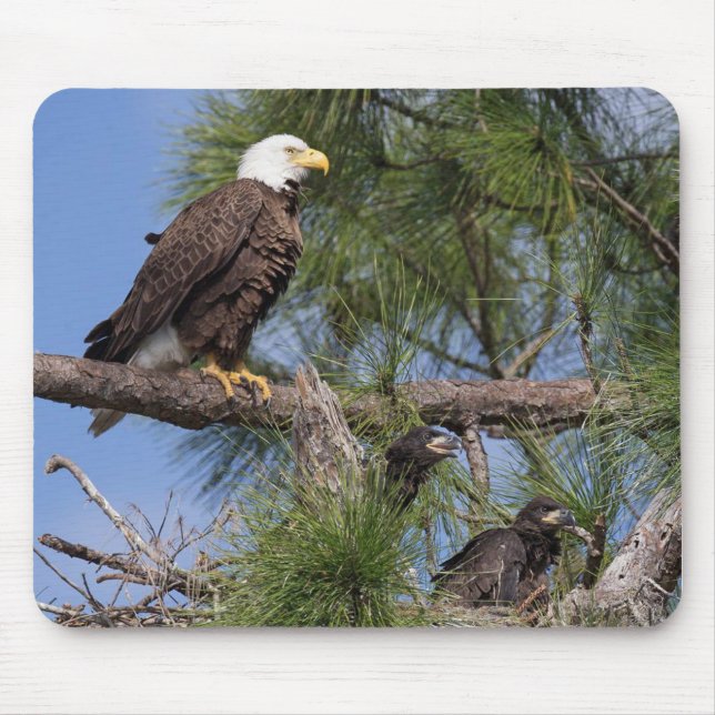 Mausunterlage des Computer-E10 u. E11 Mousepad (Vorne)