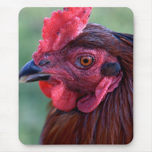 Mausunterlage Mousepad (Vorne)