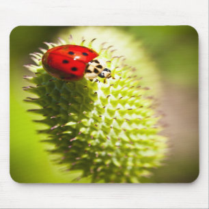 Mausunterlage Mousepad