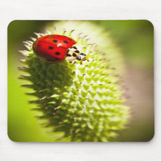 Mausunterlage Mousepad