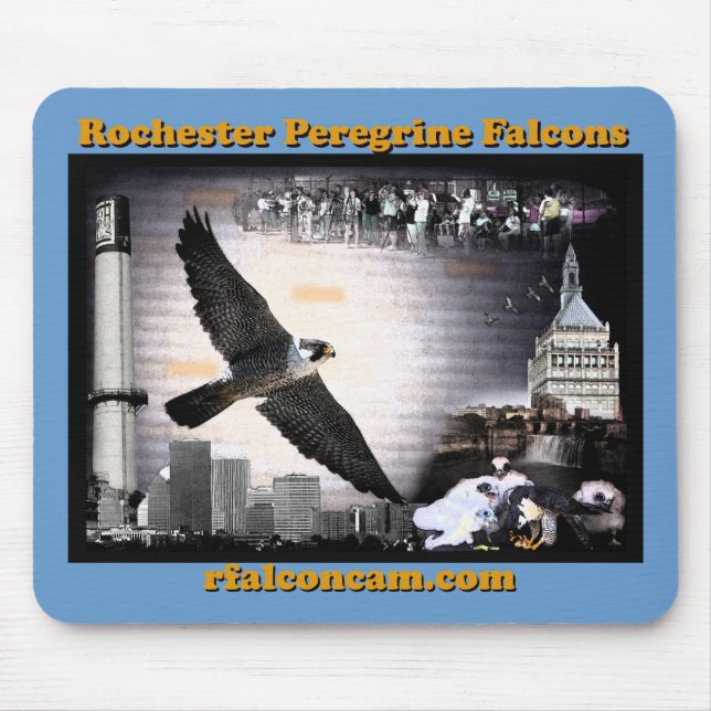 Mausunterlage-Rochester-Wanderfalken Mousepad (Vorne)