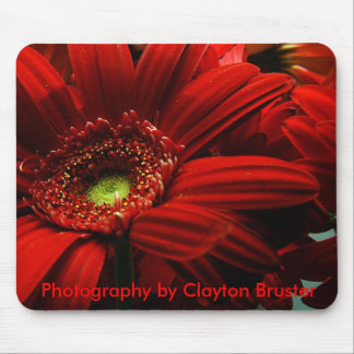 Mausunterlage -- Rotes Blumen Mousepad