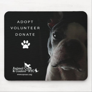 Mausunterlage "ruhig aufpassend " mousepad