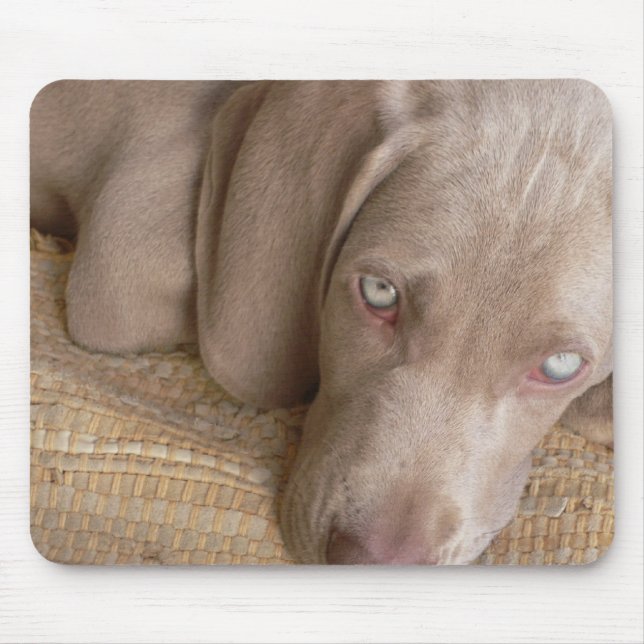 Mausunterlage SchlafensWeimaraner Mousepad (Vorne)