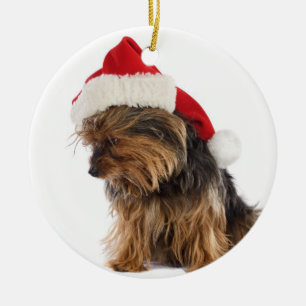 Mauvais ornement de Noël Yorkie
