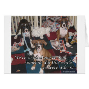 Mauvaise carte de chiots de boxeur