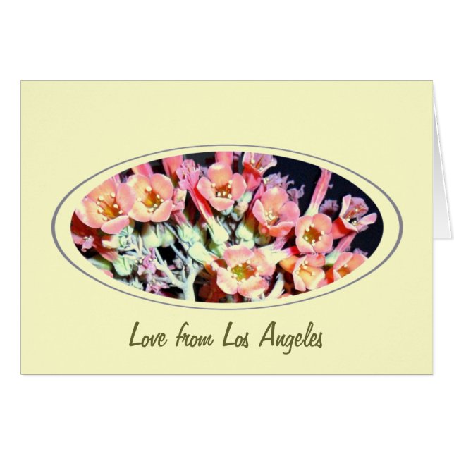 "Mauvaise herbe" (Devant horizontal)