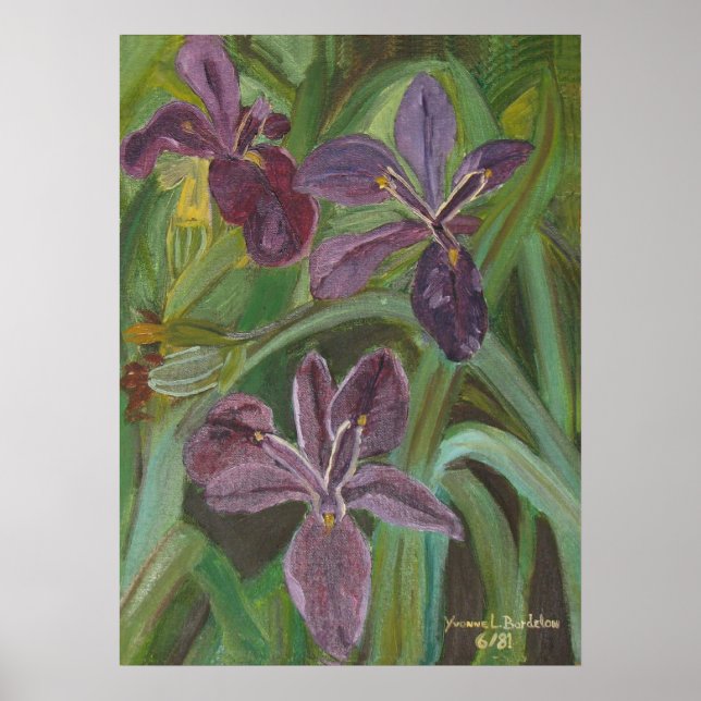 Mauve LA Iris Poster (Vorne)