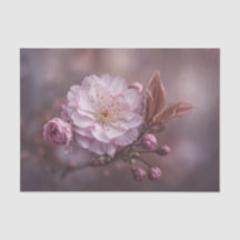 Mauve Moody Rose Doppel-Sakura-Blüte
