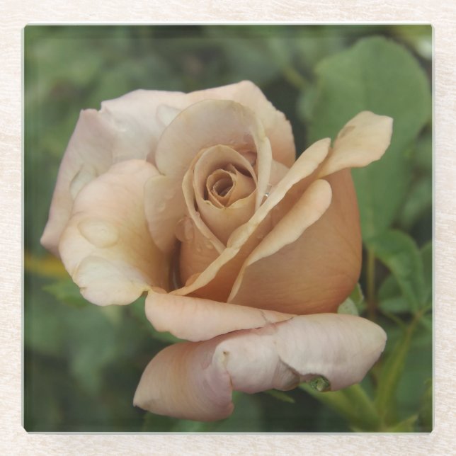 Mauve Rose Glass Untersetzer (Vorderseite)