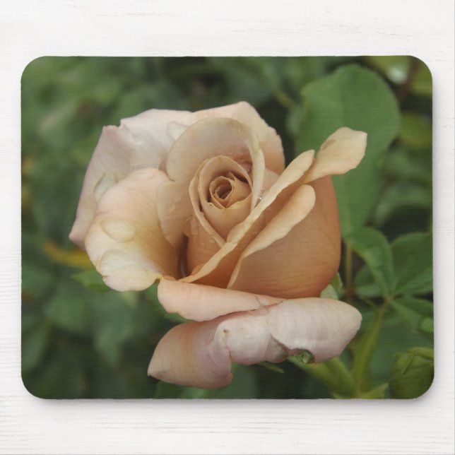 Mauve Rose Mousepad (Vorne)
