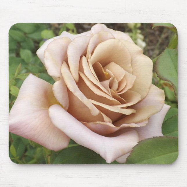 Mauve Rose Mousepad (Vorne)