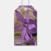 Mauve Starshine Laurentia Gift Tags