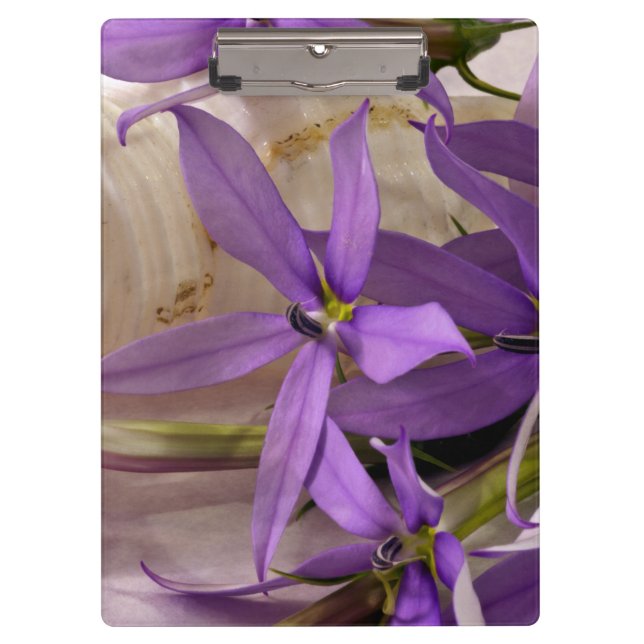 Mauve Starshine Laurentia Klemmbrett (Vorderseite)