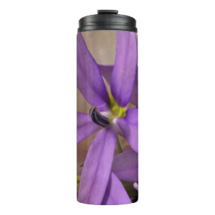 Mauve Starshine Laurentia Thermosbecher