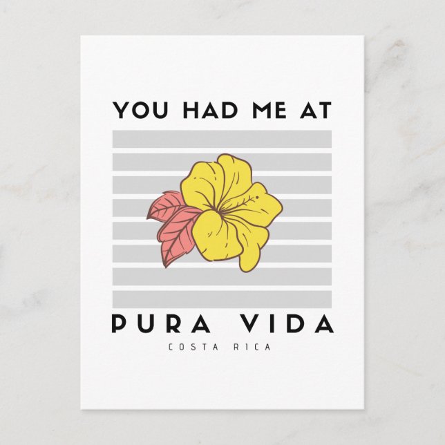 M'avait eu à Pura Vida Costa Rica Hibiscus Carte p (Devant)