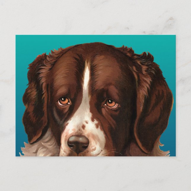 Max der Big Dog Postkarte (Vorderseite)