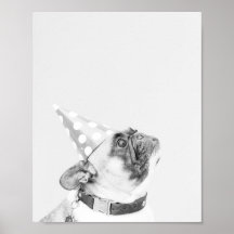 Max der französische Bulldog