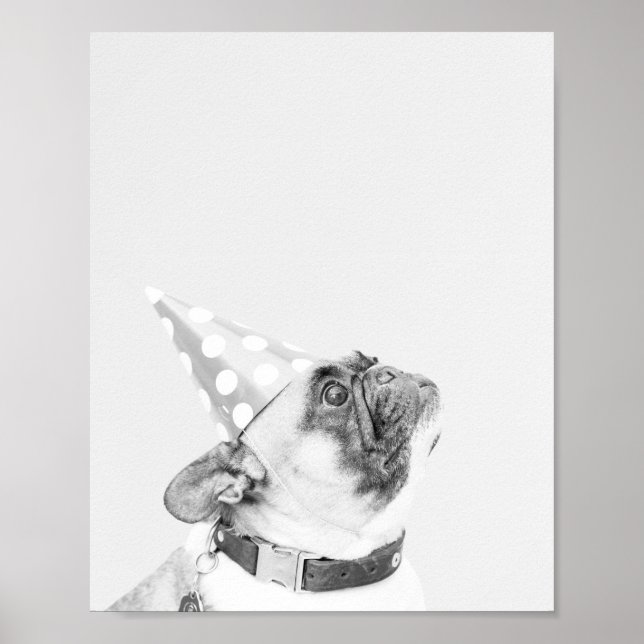 Max der französische Bulldog Poster (Vorne)