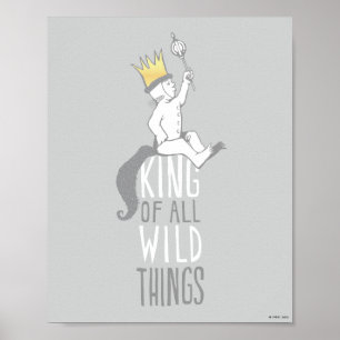 Max Der König aller wilden Dinge Poster