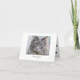 Max. Katze #5 Karte