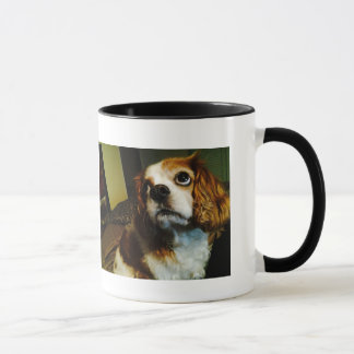 Maxi MOO-Kavalier-Schale Tasse