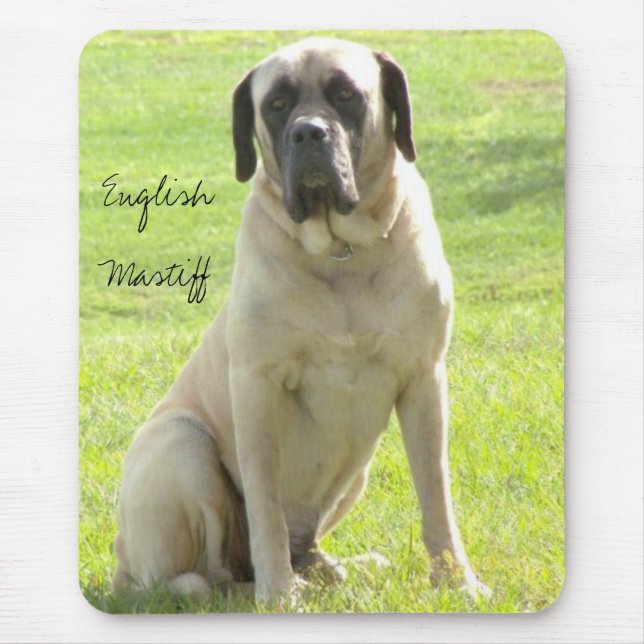 Maximaler, englischer Mastiff Mousepad (Vorne)