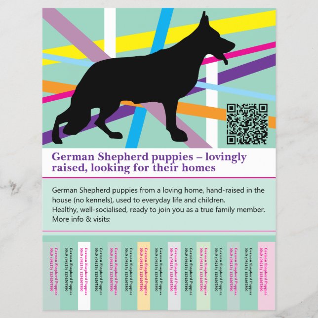 Maximaler Schäferhund personalisierter Flyer (Vorne)