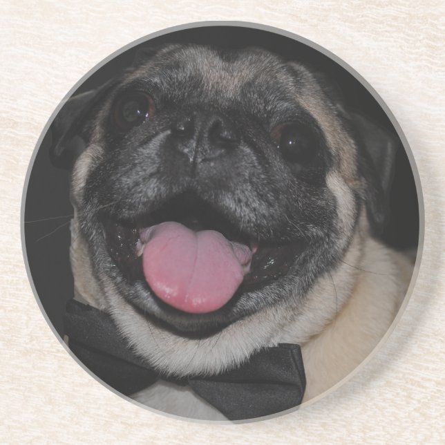 Maximaler Untersetzer (Vorne)