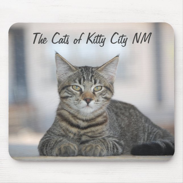 Maximiano 1, die Katzen der Miezekatze-Stadt Mousepad (Vorne)