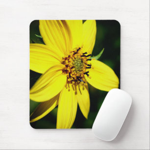 Maximilian Sunflower Blume Mousepad