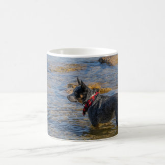 "Maximus" Blue Heeler Coffee Tasse