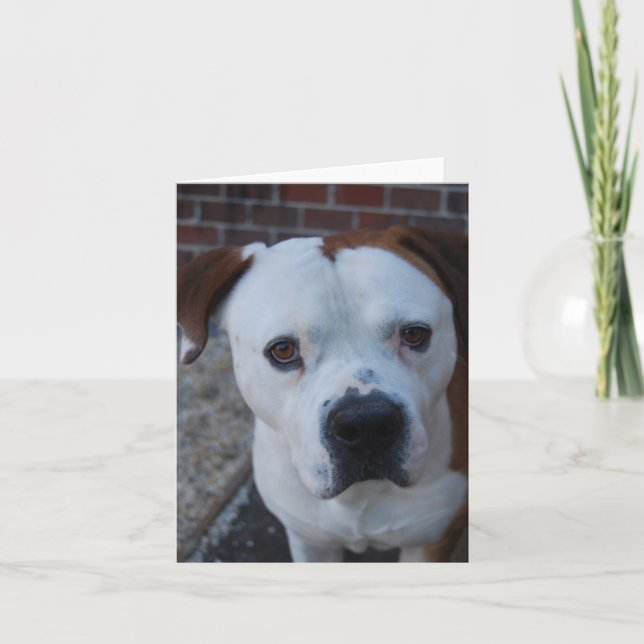 Maximus der Karte (Vorderseite)