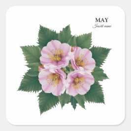 May Birthday Hawthorn Bloom: Personalisiert Quadratischer Aufkleber