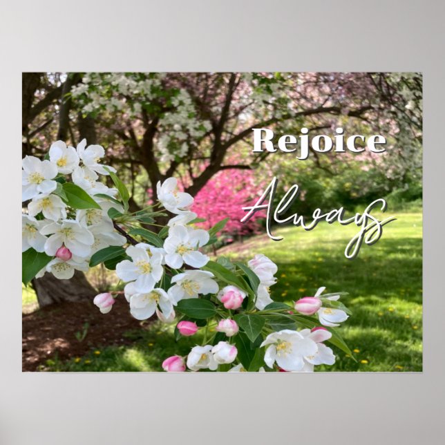 May Flowers Pink Rejoice Always Poster (Vorne)